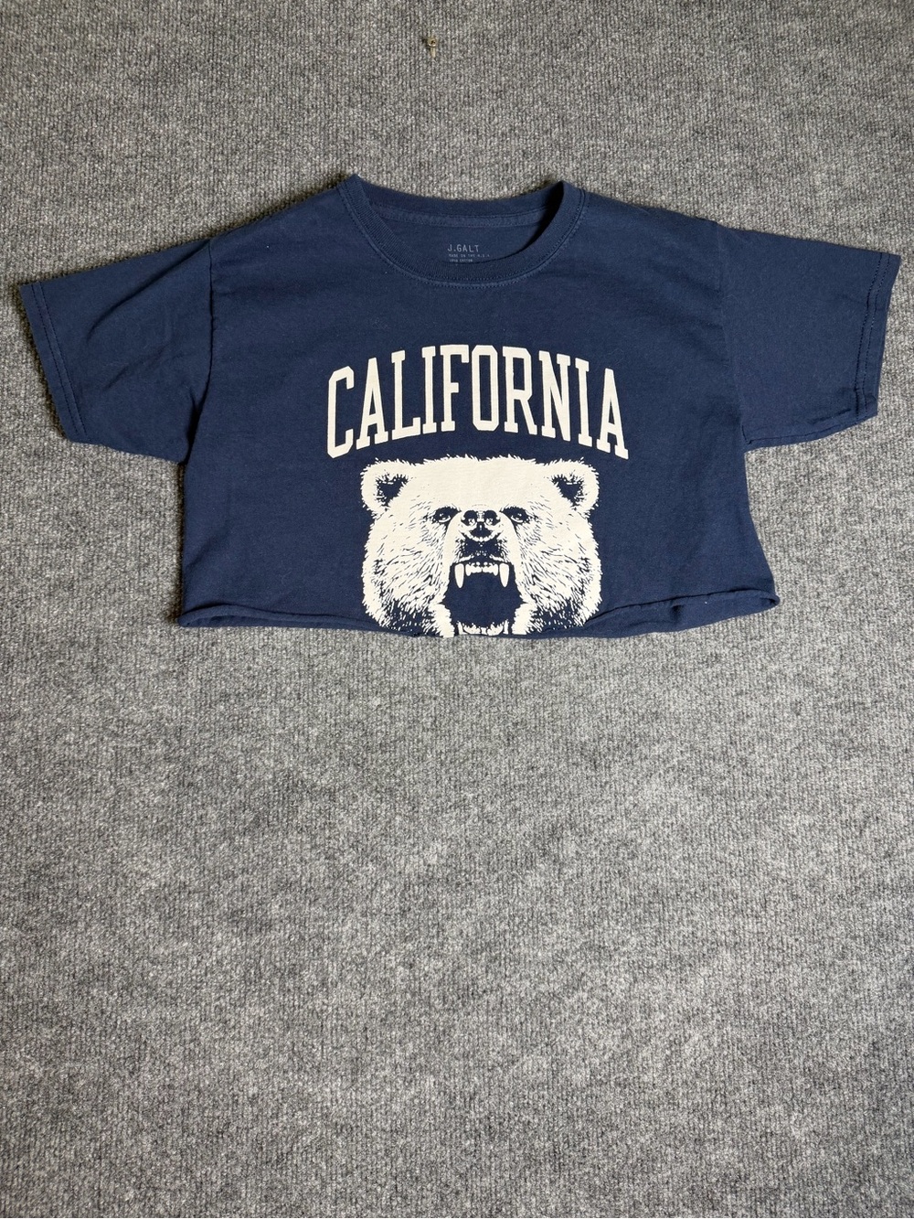 Brandy Melville Navy Cropped California Bear Tee